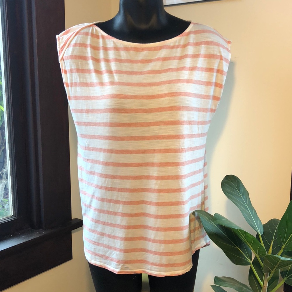 Carve Designs top
